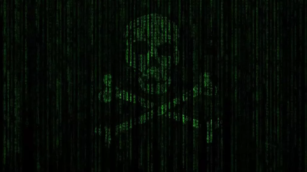 hacker pirate binary skull