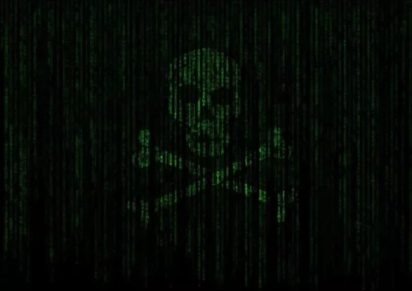 hacker pirate binary skull